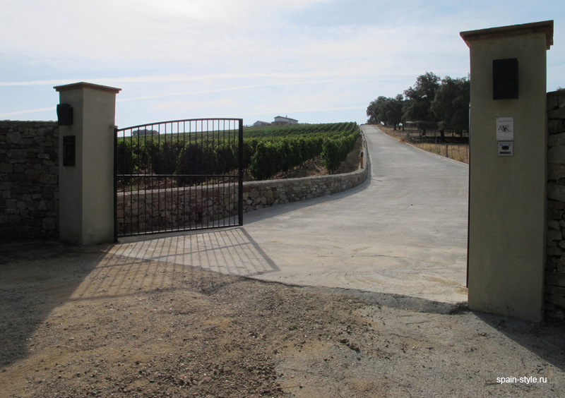  Vineyard and winery for sale in Malaga  , entrance  