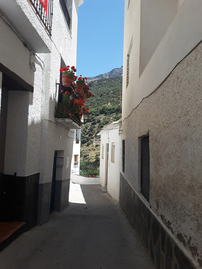 Street in Trevélez, Country house with  7 ha land in the Sierra Nevada National Park
