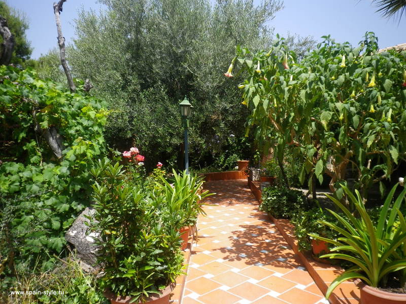 Garden with the flowers,  Villa  for rent in Almunecar, La Herradura